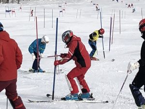 手分けしてポールセット